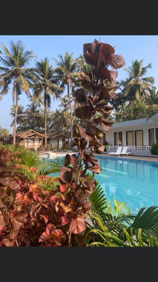 Golden Sands Resort, Morjim Buitenkant foto